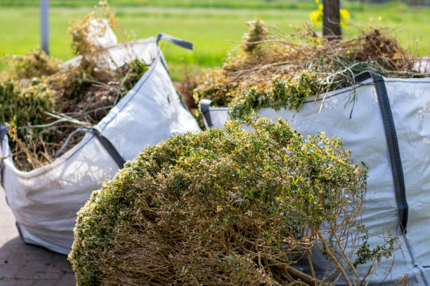Best Furniture Removal Near Me  in Buckeye Lake, OH